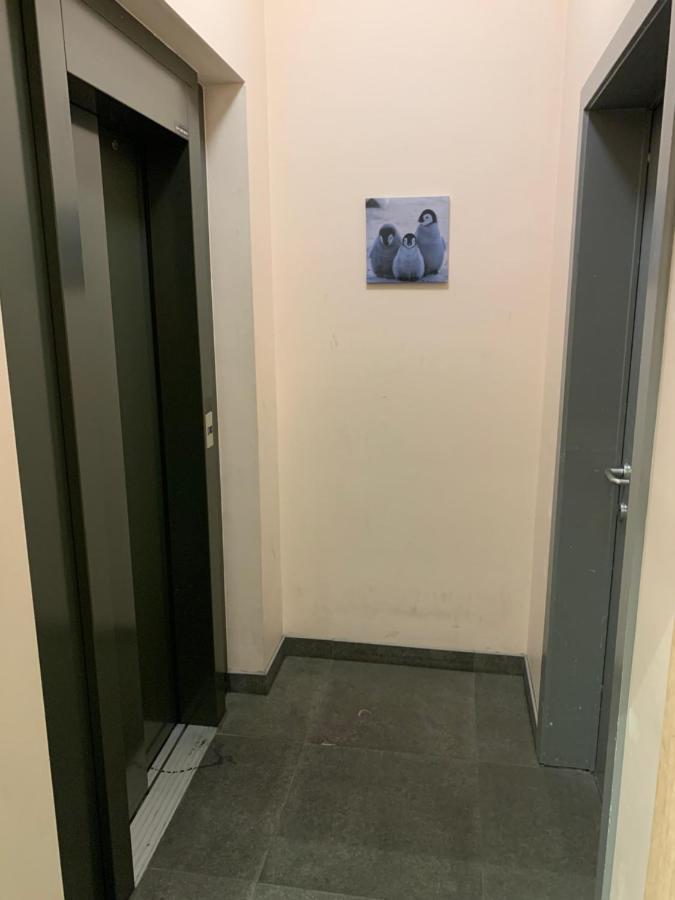 Appartamento Okapi Halle  Esterno foto