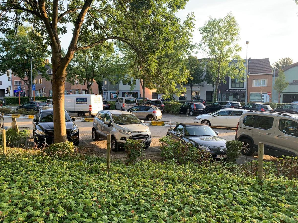 Appartamento Okapi Halle  Esterno foto