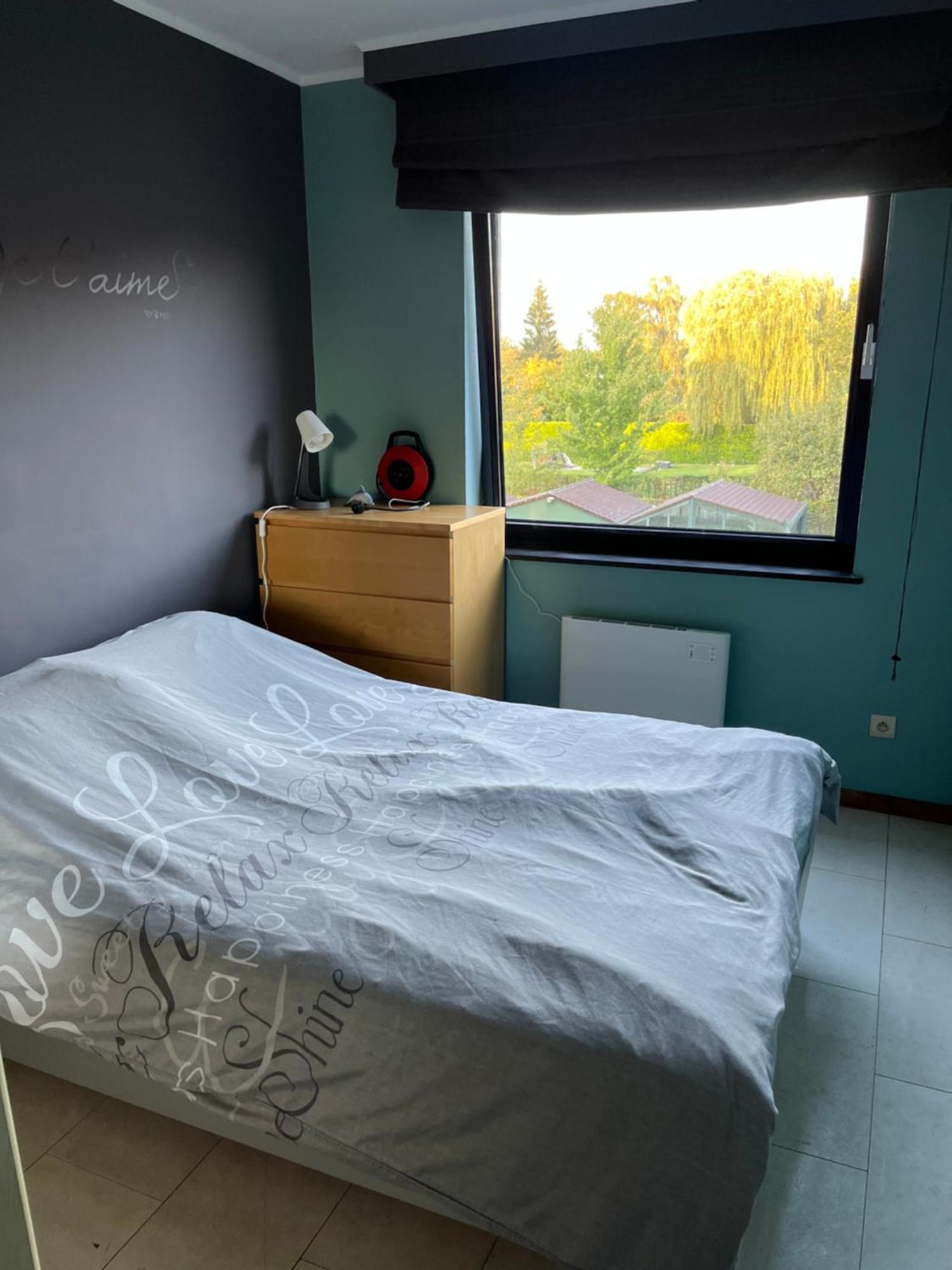 Appartamento Okapi Halle  Esterno foto